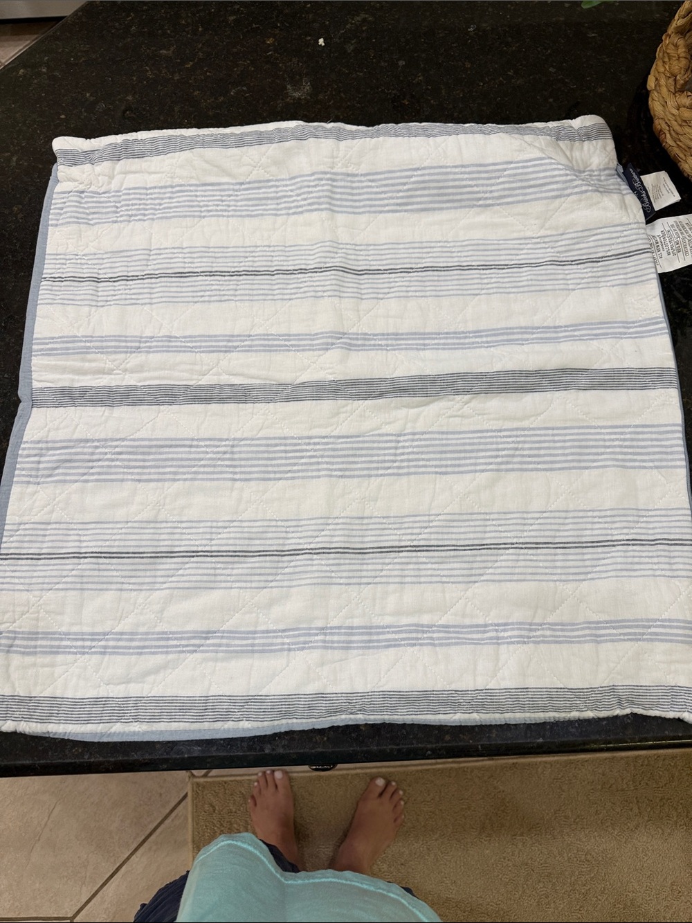 Brooks Brothers White and Light Blue Striped Quilted Euro Pillow Covers Covers